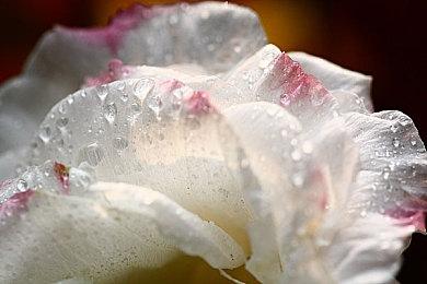 《索尼克：未知边境》M站用户评分为系列史上最高